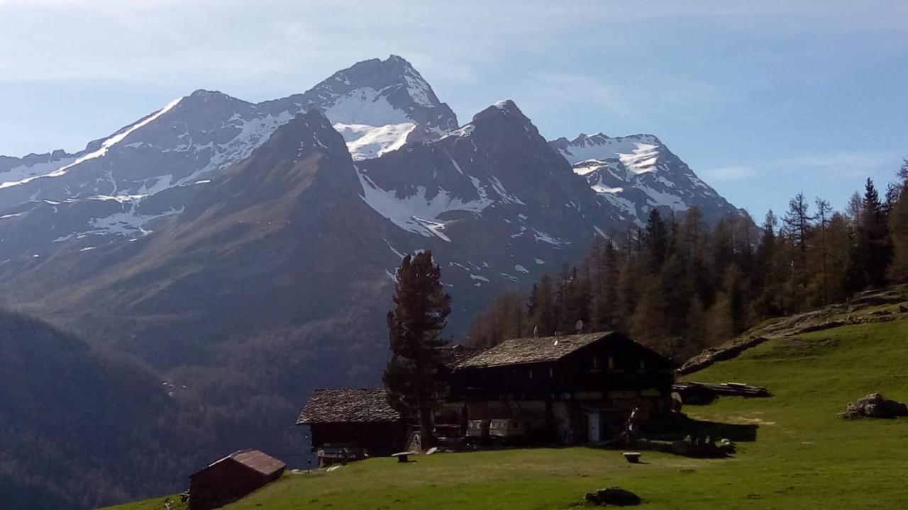 Stadel Soussun Champoluc Esterno foto