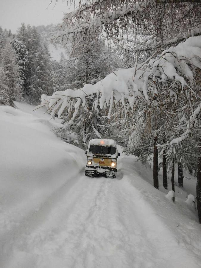 Stadel Soussun Champoluc Esterno foto