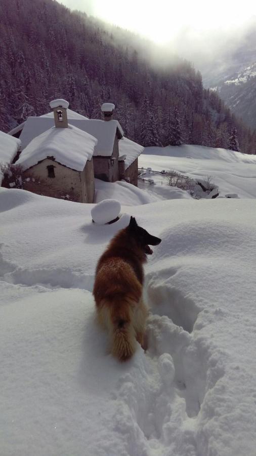 Stadel Soussun Champoluc Esterno foto