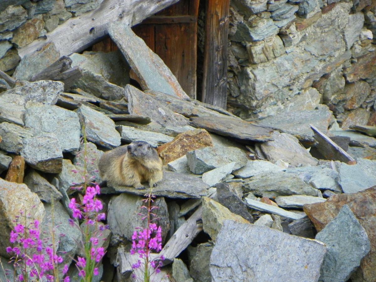 Stadel Soussun Champoluc Esterno foto