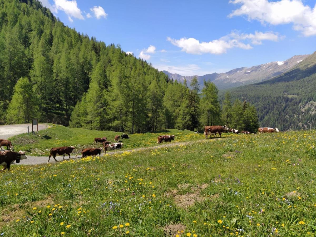 Stadel Soussun Champoluc Esterno foto