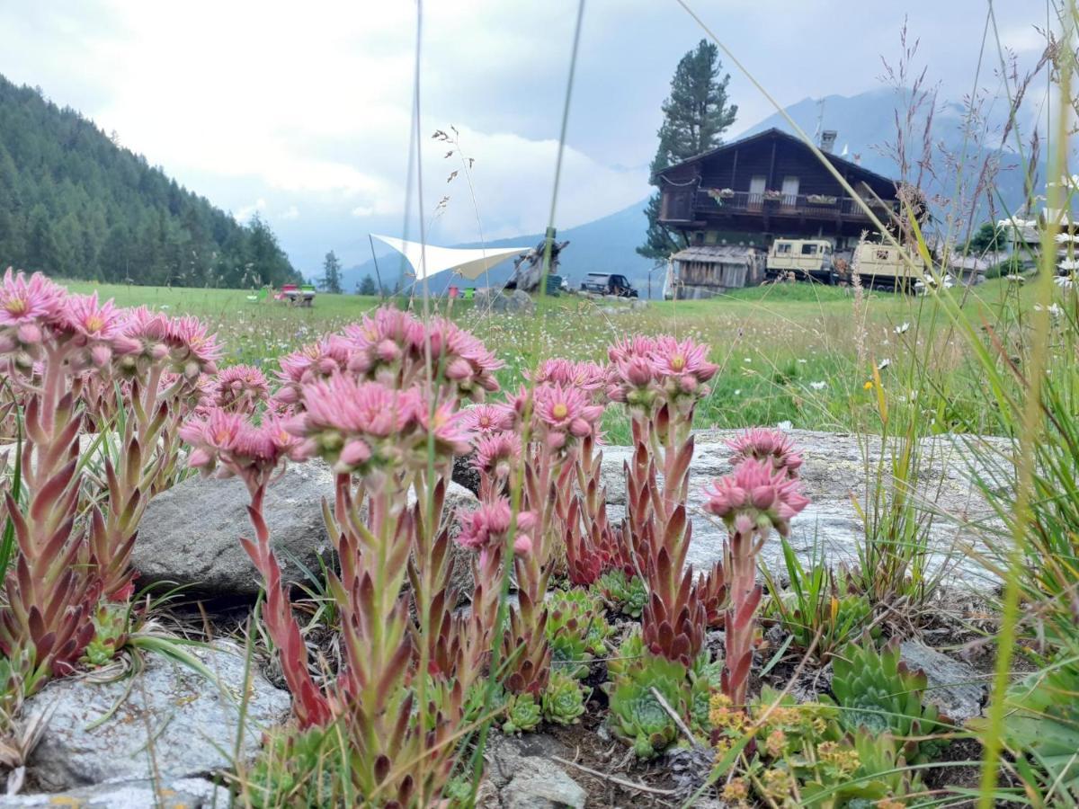 Stadel Soussun Champoluc Esterno foto