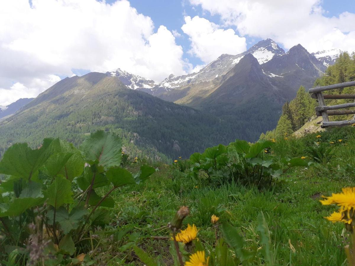 Stadel Soussun Champoluc Esterno foto