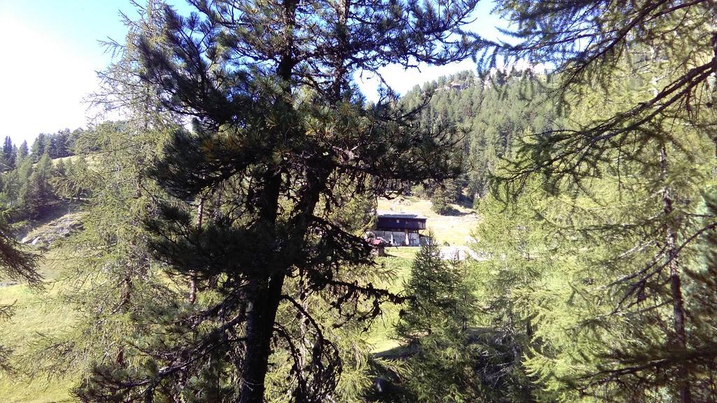 Stadel Soussun Champoluc Esterno foto